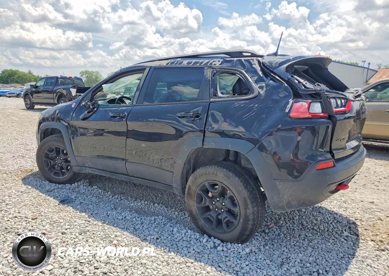 2019 Jeep Cherokee Trailhawk VIN:1C4PJMBX5KD225054 - 2