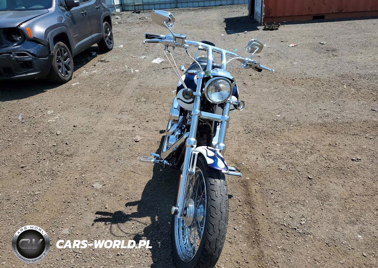 2004 Harley-Davidson Fxdli VIN:1HD1GNW144K318905 - 2