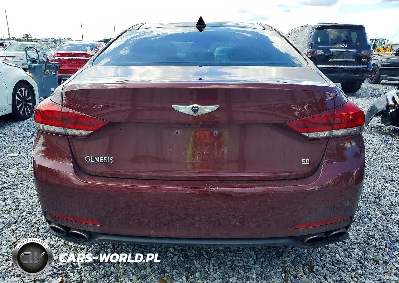 2015 Hyundai Genesis 5.0L VIN:KMHGN4JF5FU082010 - 6