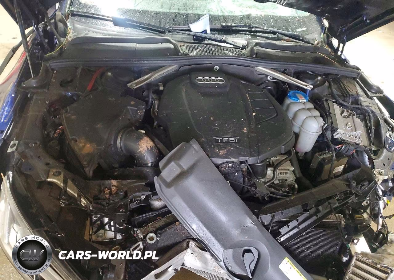 2019 Audi A4 Premium Plus VIN:WAUENAF40KA018872 - 11
