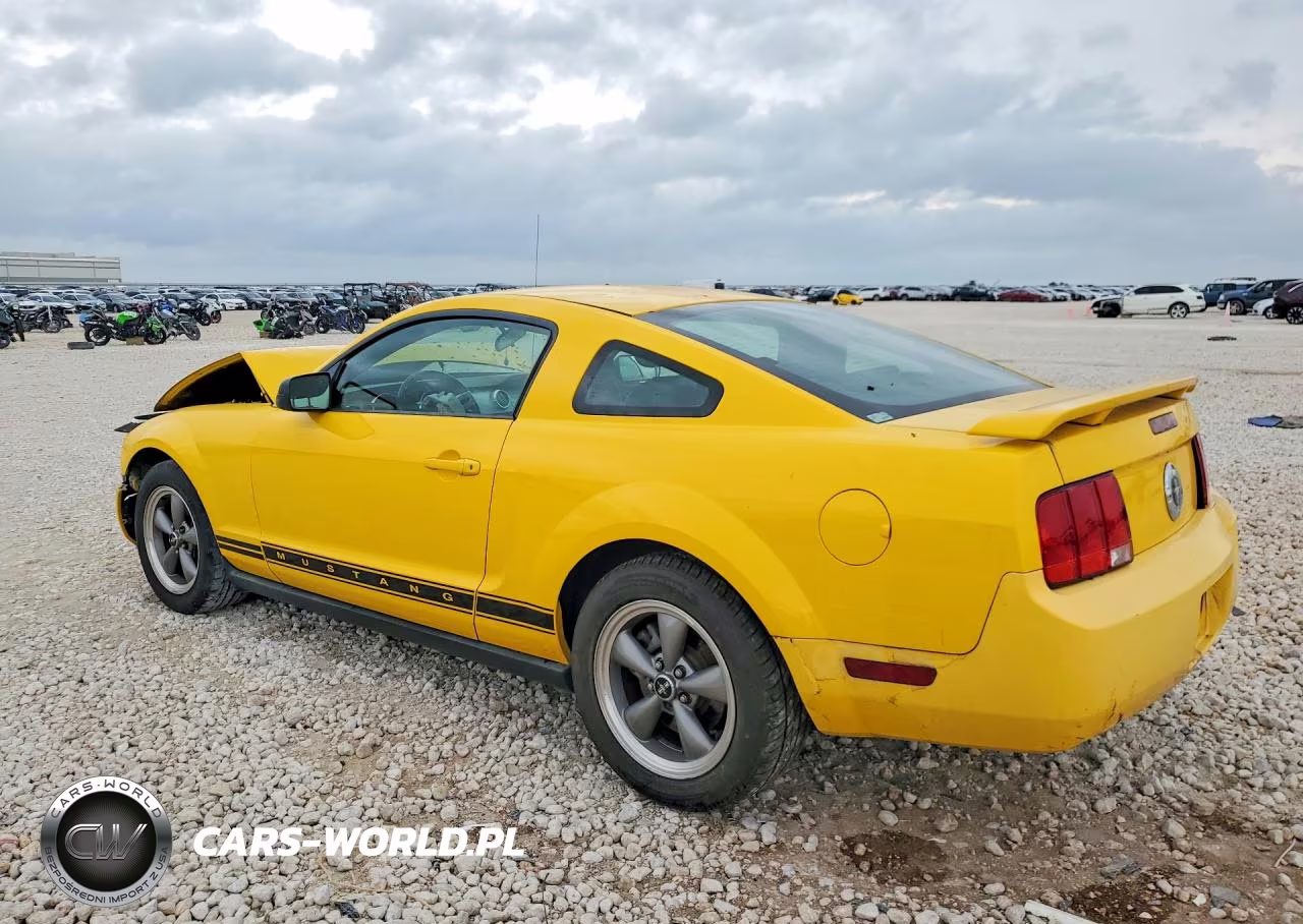 2006 Ford Mustang VIN:1ZVFT80N665148755 - 2