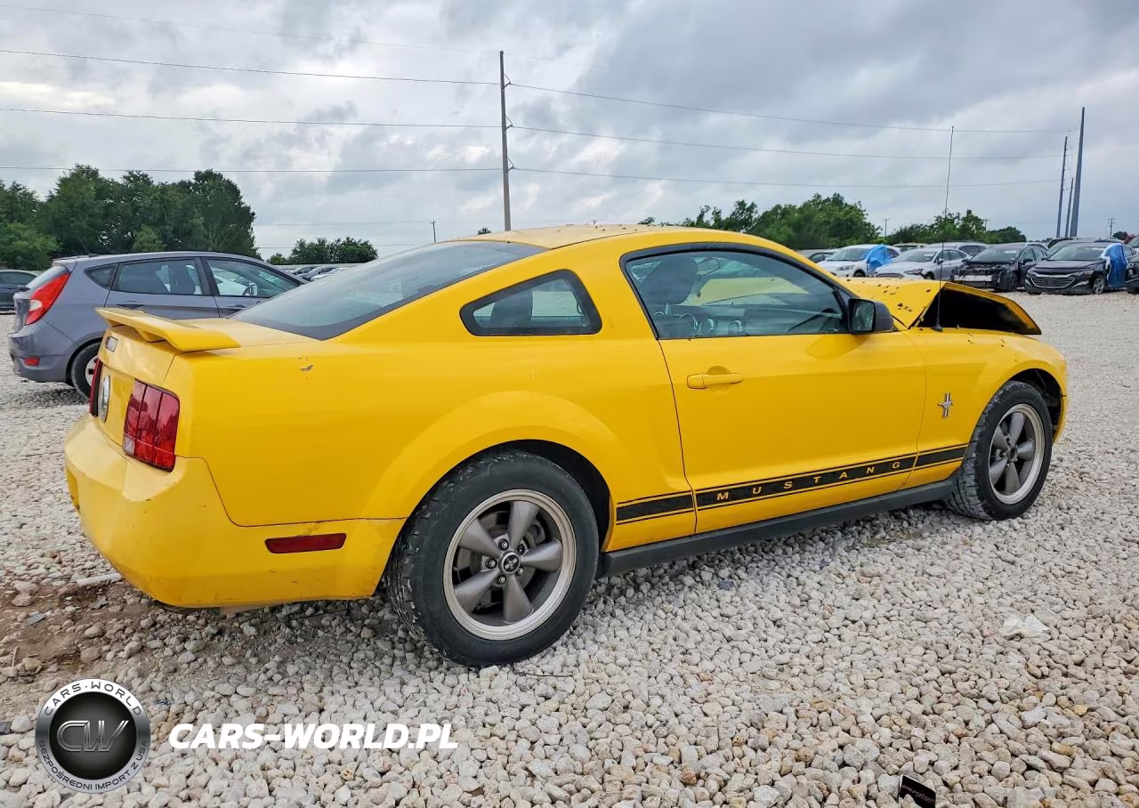 2006 Ford Mustang VIN:1ZVFT80N665148755 - 3