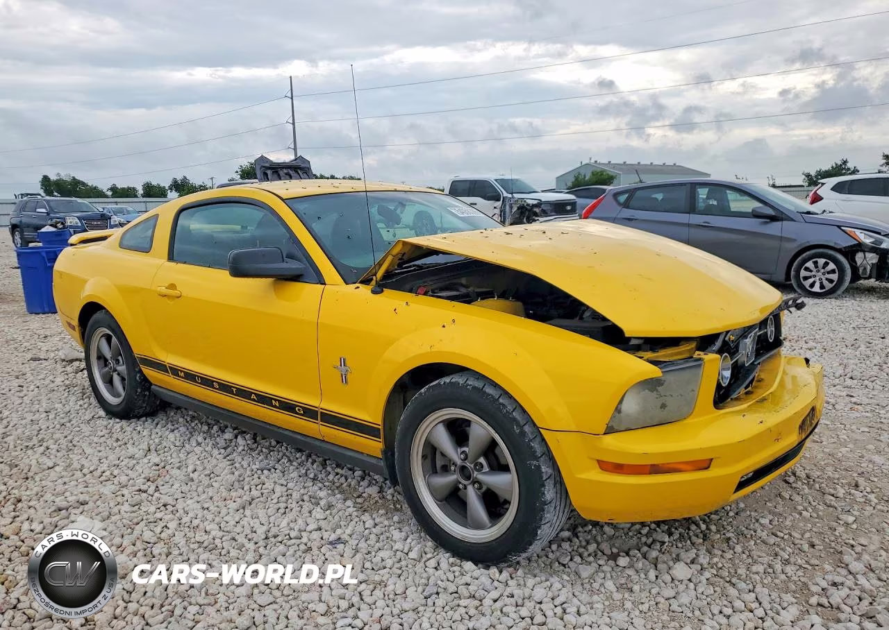 2006 Ford Mustang VIN:1ZVFT80N665148755 - 4