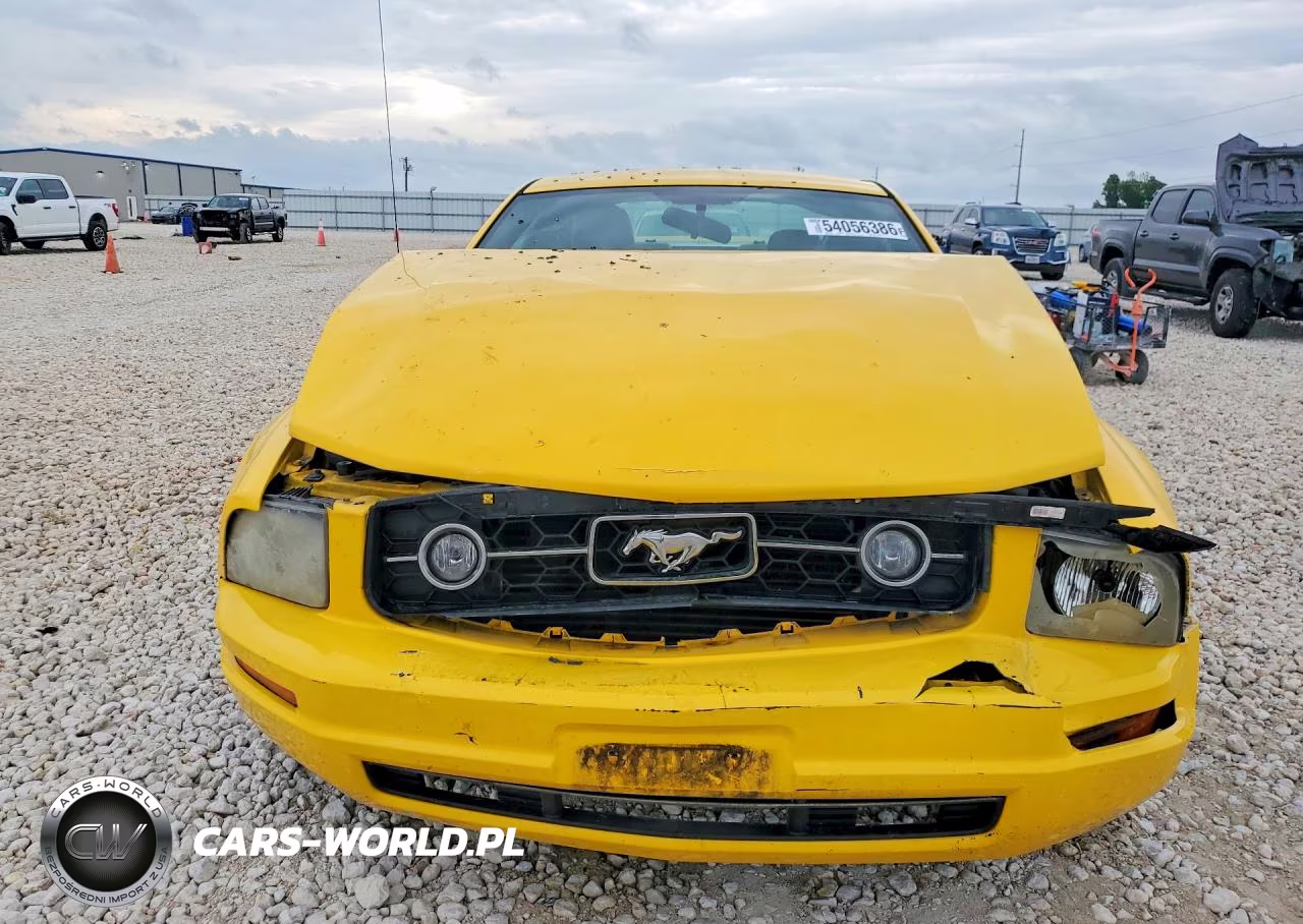 2006 Ford Mustang VIN:1ZVFT80N665148755 - 5
