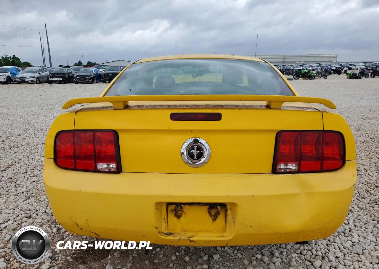 2006 Ford Mustang VIN:1ZVFT80N665148755 - 6