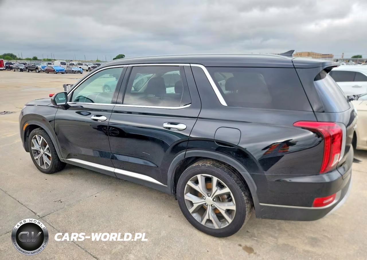 2020 Hyundai Palisade Sel VIN:KM8R44HE9LU061813 - 2