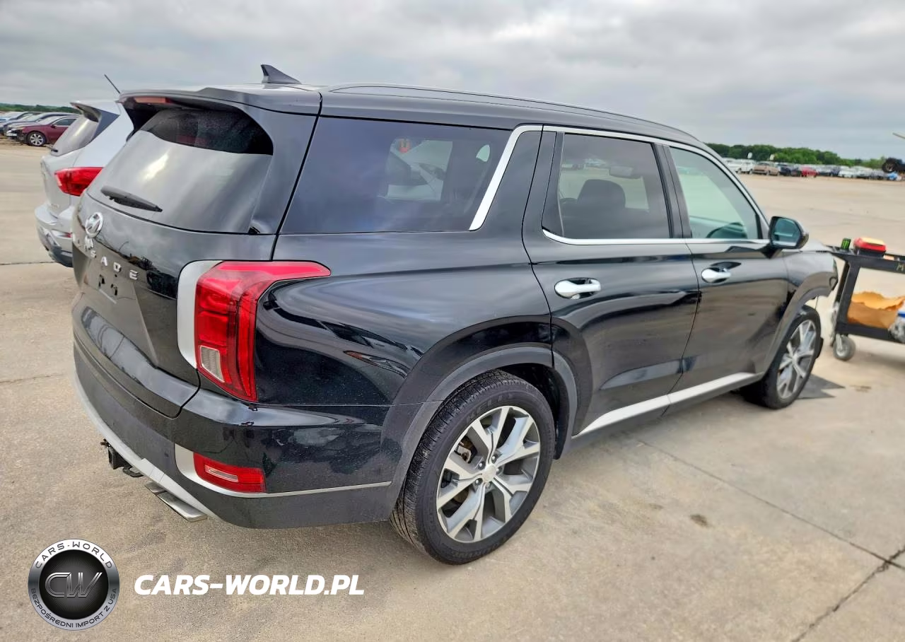 2020 Hyundai Palisade Sel VIN:KM8R44HE9LU061813 - 3