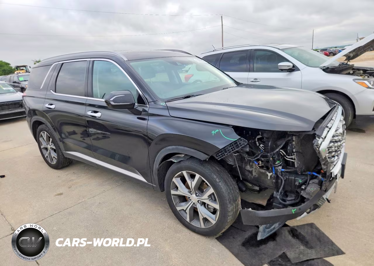 2020 Hyundai Palisade Sel VIN:KM8R44HE9LU061813 - 4
