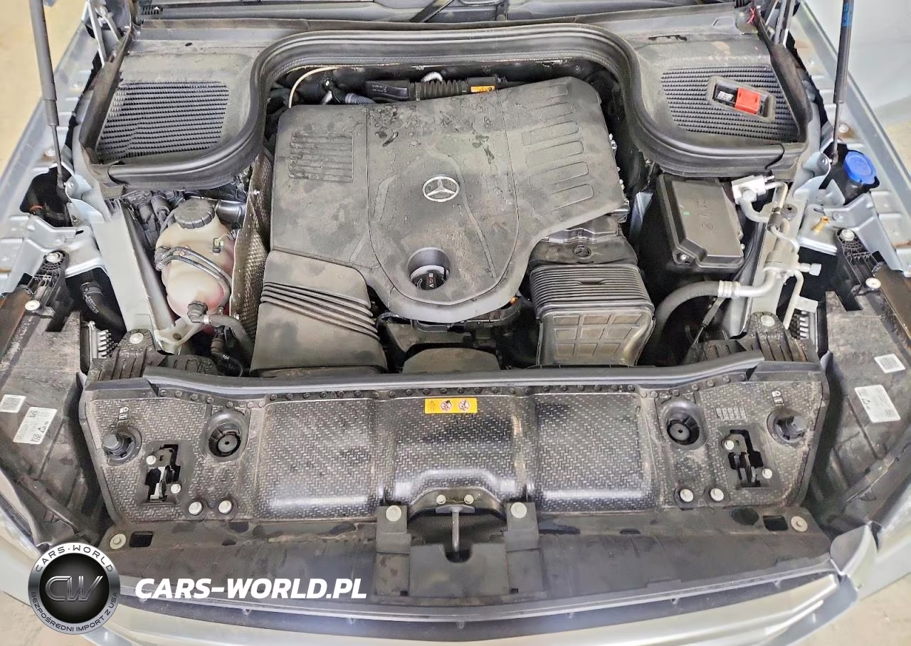 2025 Mercedes-Benz Gls 450 4Matic VIN:4JGFF5KE6SB455100 - 12
