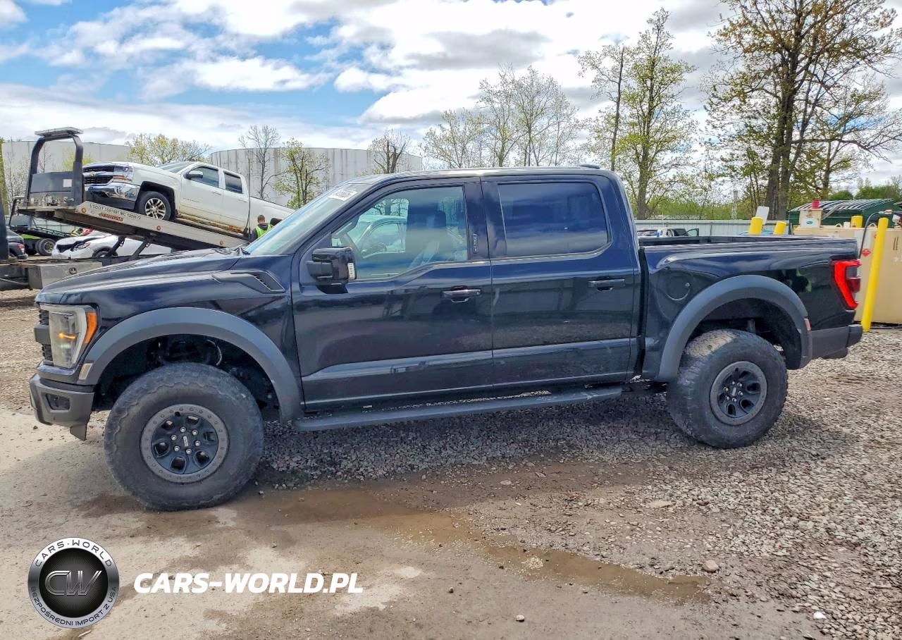 2022 Ford F150 Raptor VIN:1FTFW1RG8NFA83454 - 12