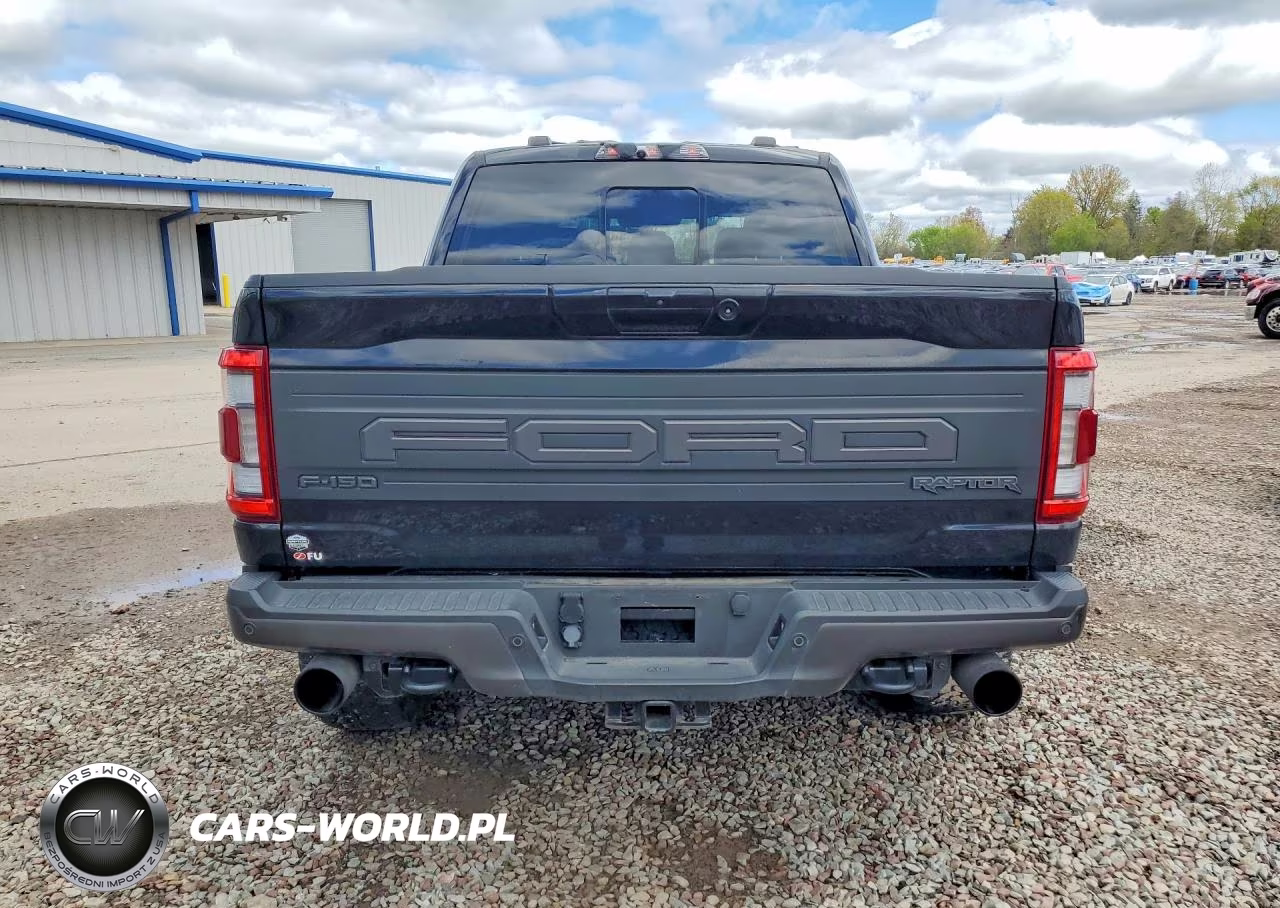 2022 Ford F150 Raptor VIN:1FTFW1RG8NFA83454 - 6