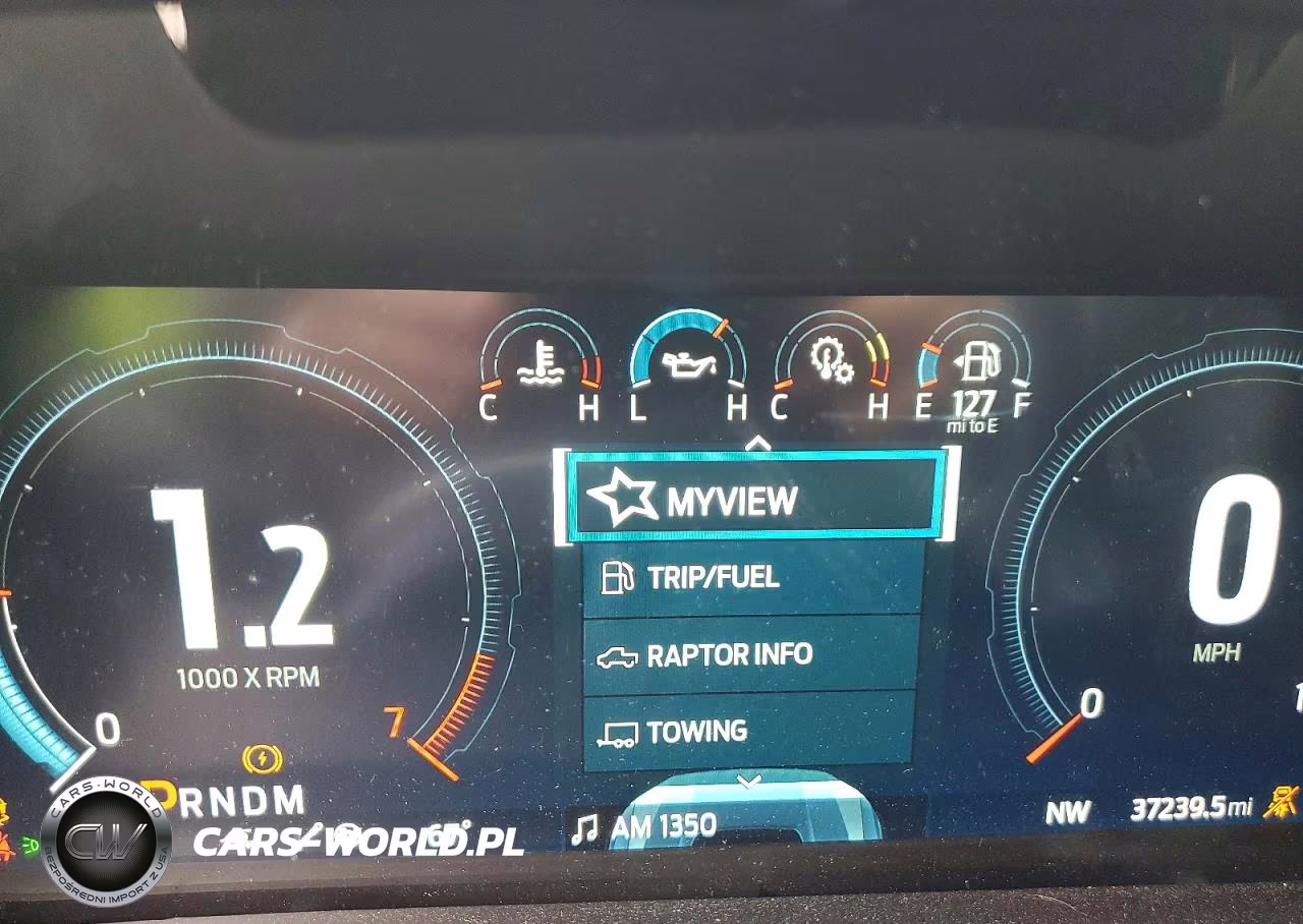 2022 Ford F150 Raptor VIN:1FTFW1RG8NFA83454 - 9