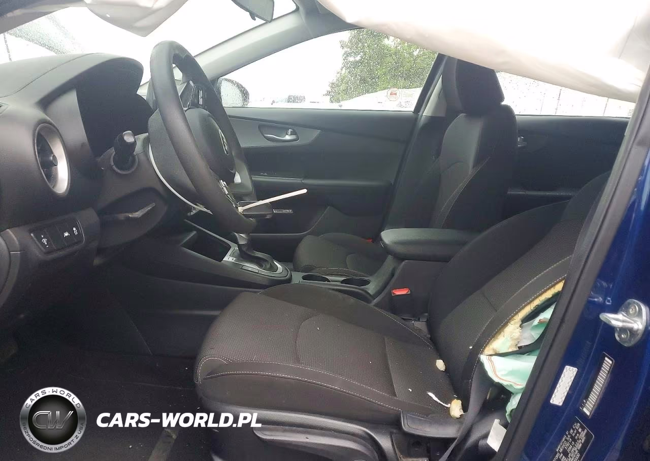 2019 Kia Forte Lxs VIN:3KPF24AD4KE135330 - 7