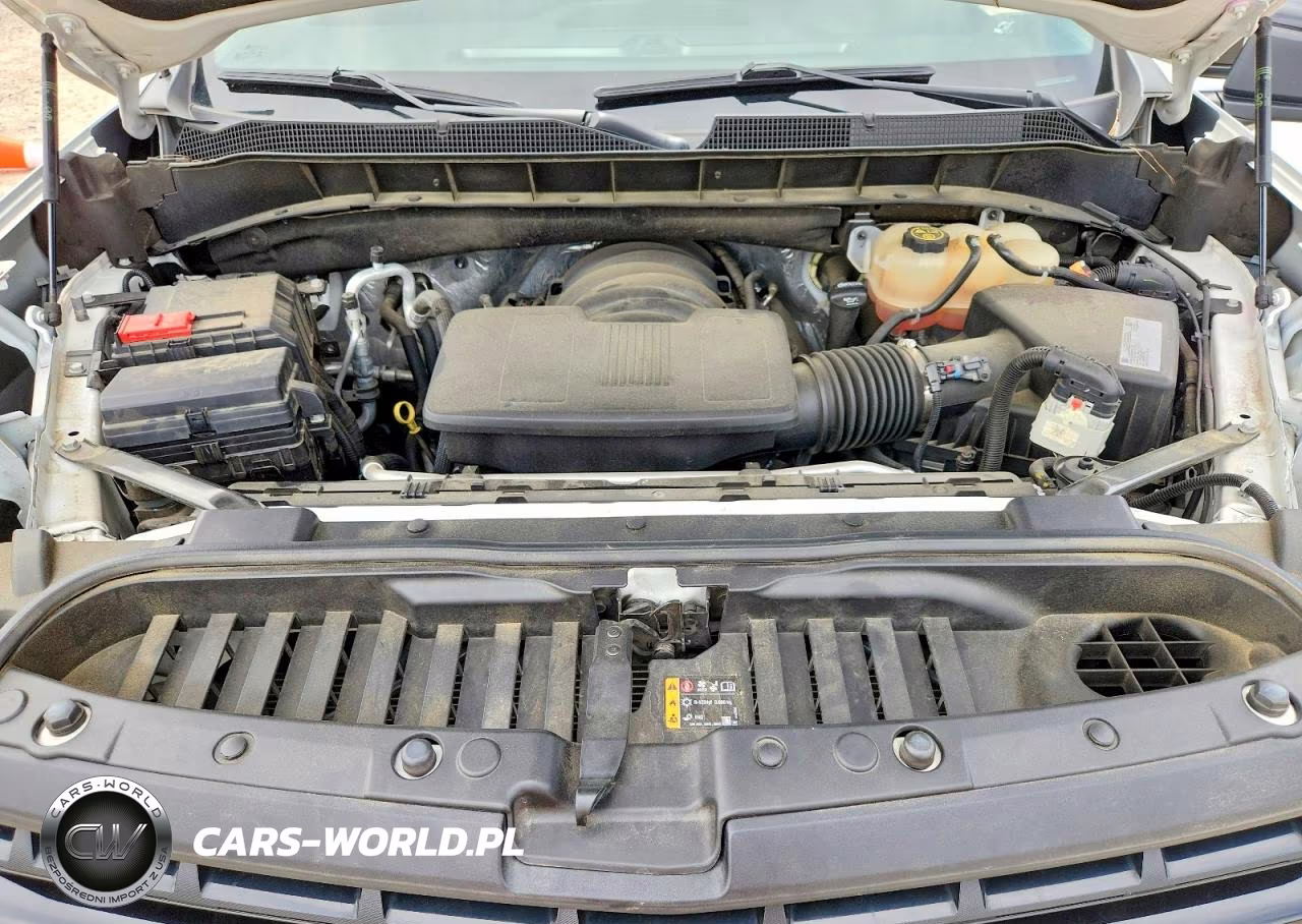 2021 Chevrolet Silverado K1500 Lt Trail Boss VIN:3GCPYFED2MG473308 - 11