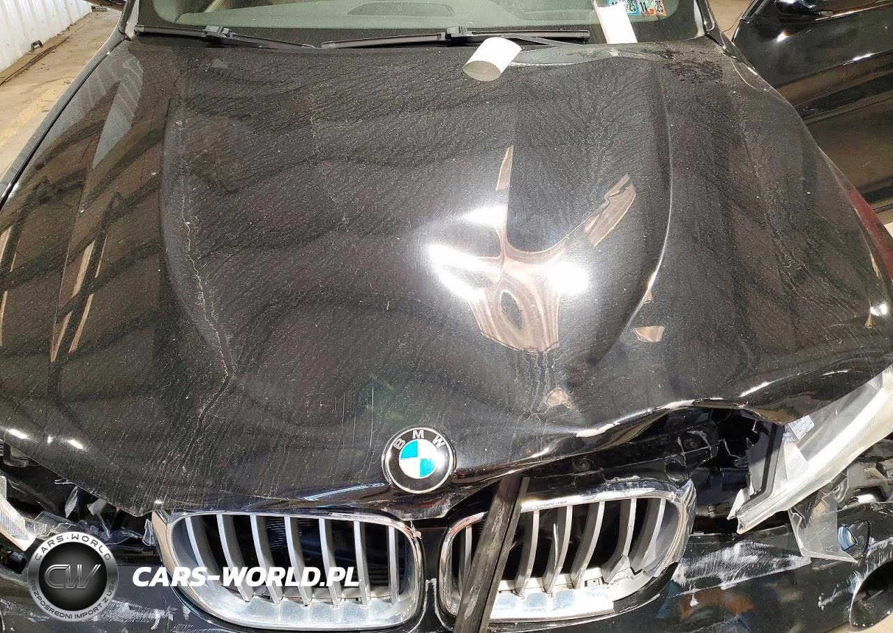 2016 BMW X3 xDrive28I VIN:5UXWX9C52G0D76163 - 12