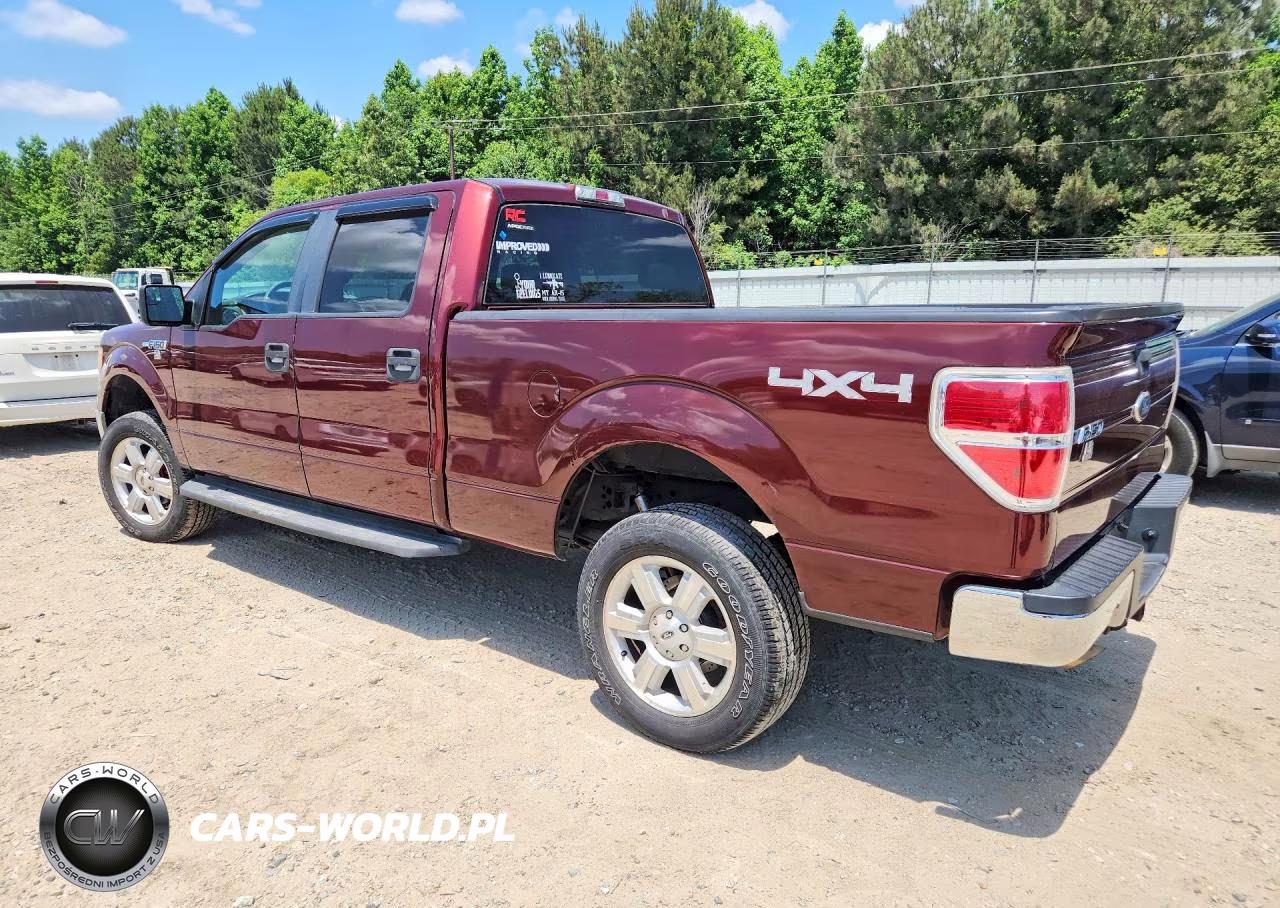 2009 Ford F150 Supercrew VIN:1FTPW14V99FA55291 - 2