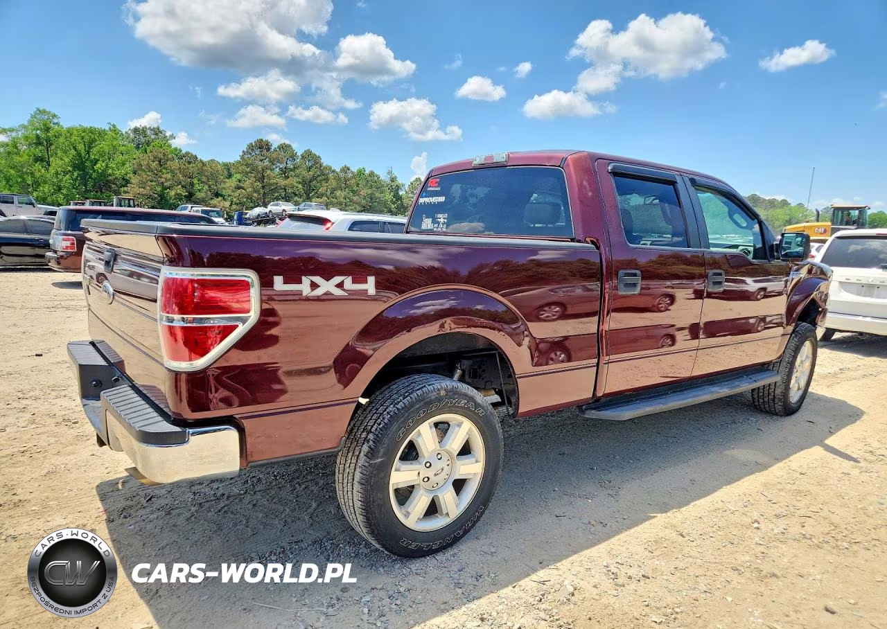 2009 Ford F150 Supercrew VIN:1FTPW14V99FA55291 - 3