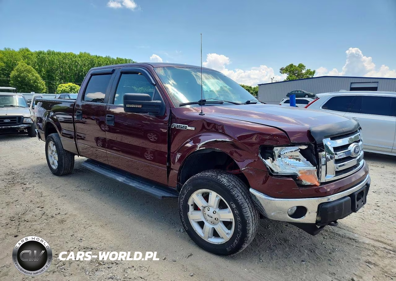 2009 Ford F150 Supercrew VIN:1FTPW14V99FA55291 - 4