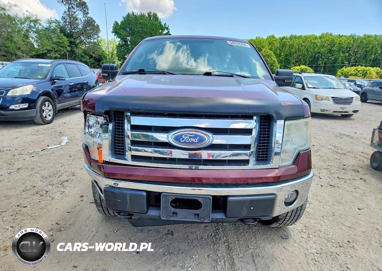 2009 Ford F150 Supercrew VIN:1FTPW14V99FA55291 - 5
