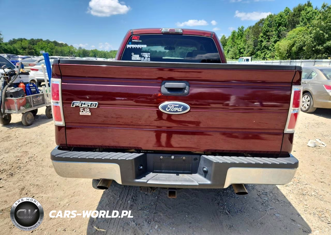 2009 Ford F150 Supercrew VIN:1FTPW14V99FA55291 - 6