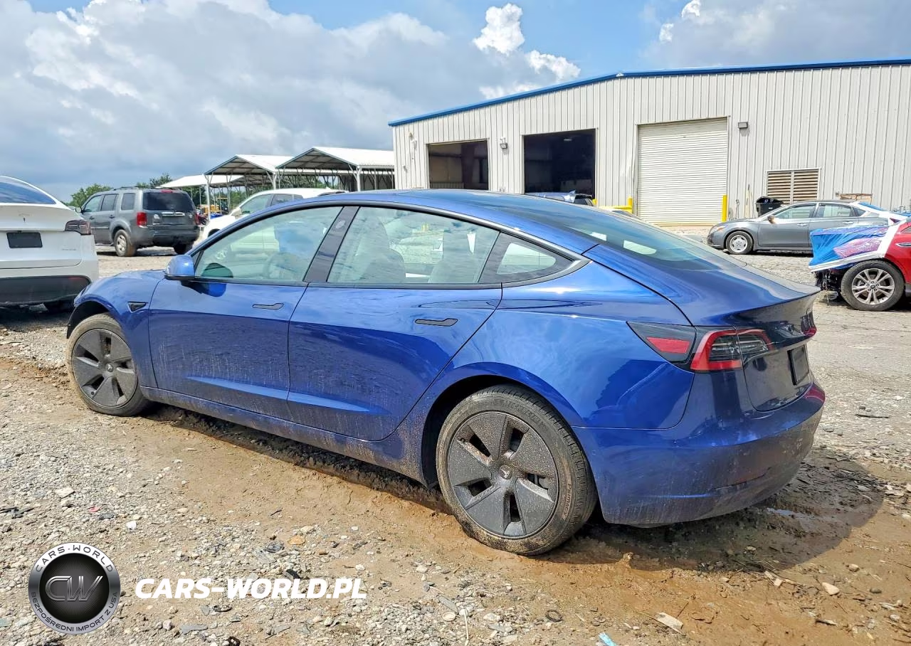 2021 Tesla Model 3 VIN:5YJ3E1EA8MF057088 - 2