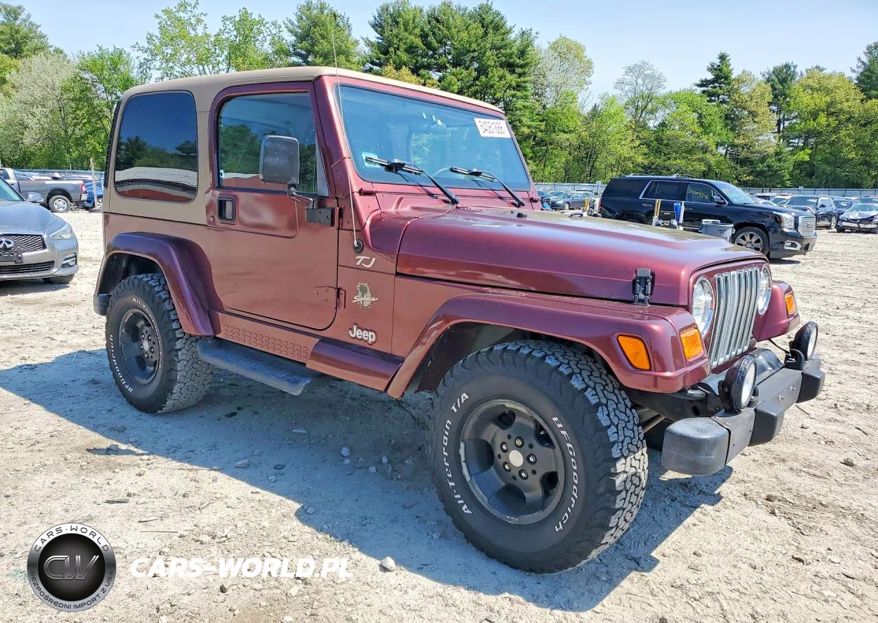 2002 Jeep Wrangler - Tj Sahara VIN:1J4FA59S62P719833 - 4