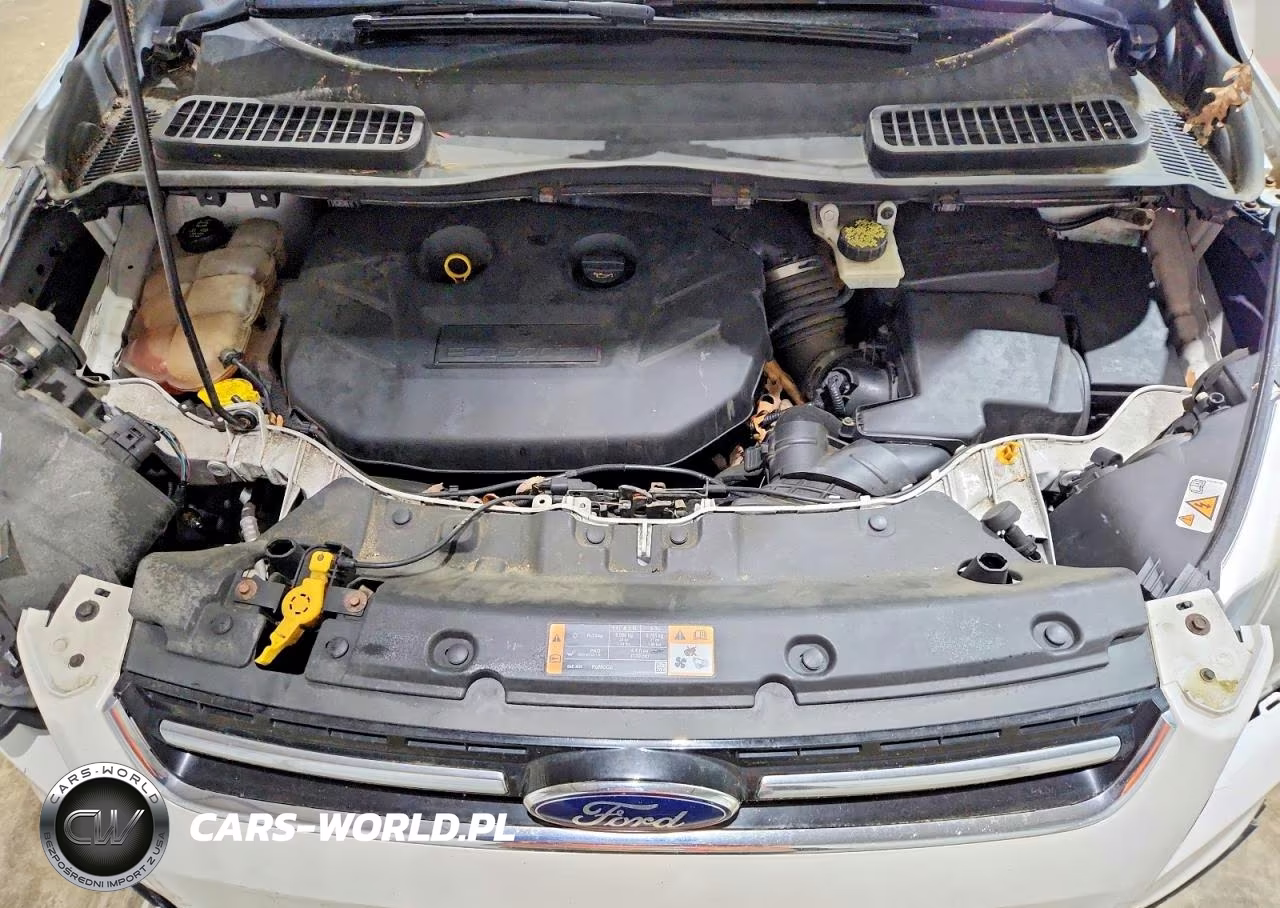 2014 Ford Escape Titanium VIN:1FMCU9J94EUE31794 - 12