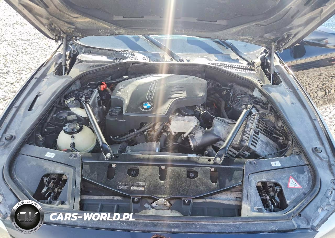 2013 BMW 528 Xi VIN:WBAXH5C55DDW13013 - 11
