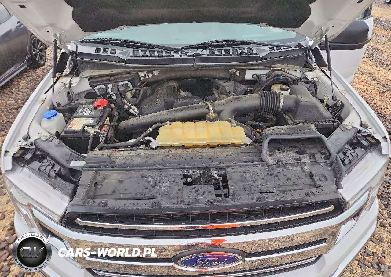 2020 Ford F150 Supercrew VIN:1FTEW1E46LKD44186 - 11