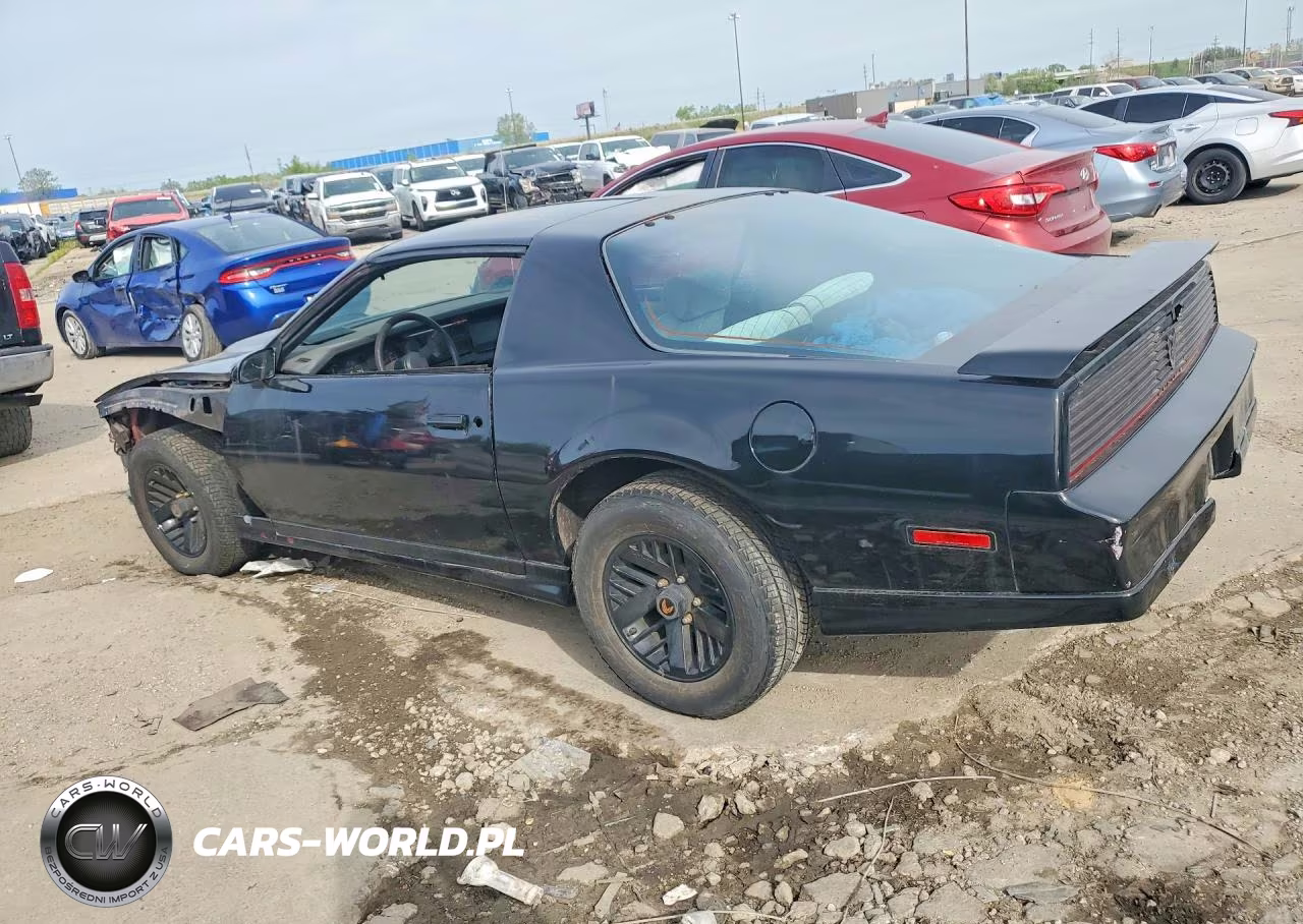 1984 Pontiac Firebird VIN:1G2AW87G2EL231142 - 2