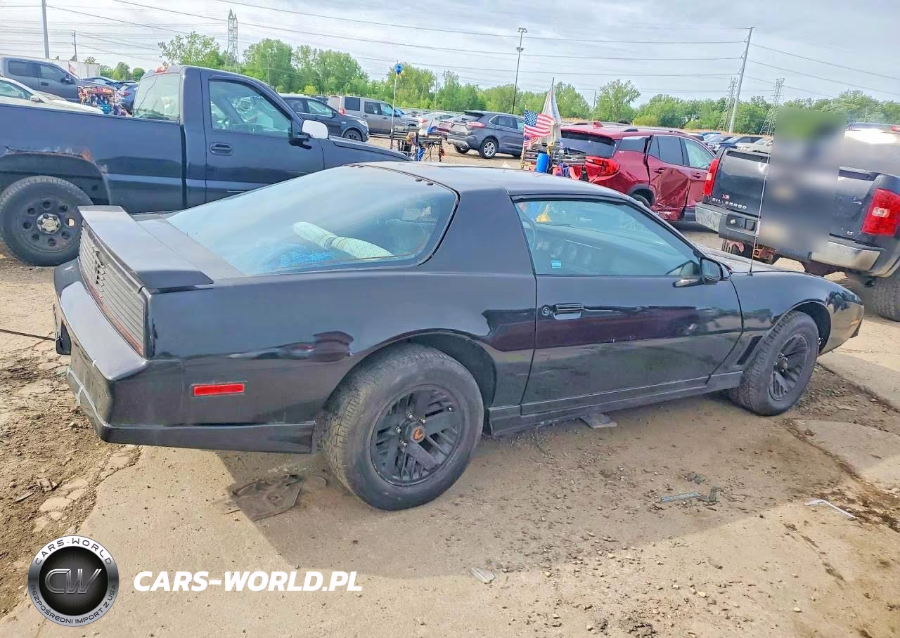 1984 Pontiac Firebird VIN:1G2AW87G2EL231142 - 3
