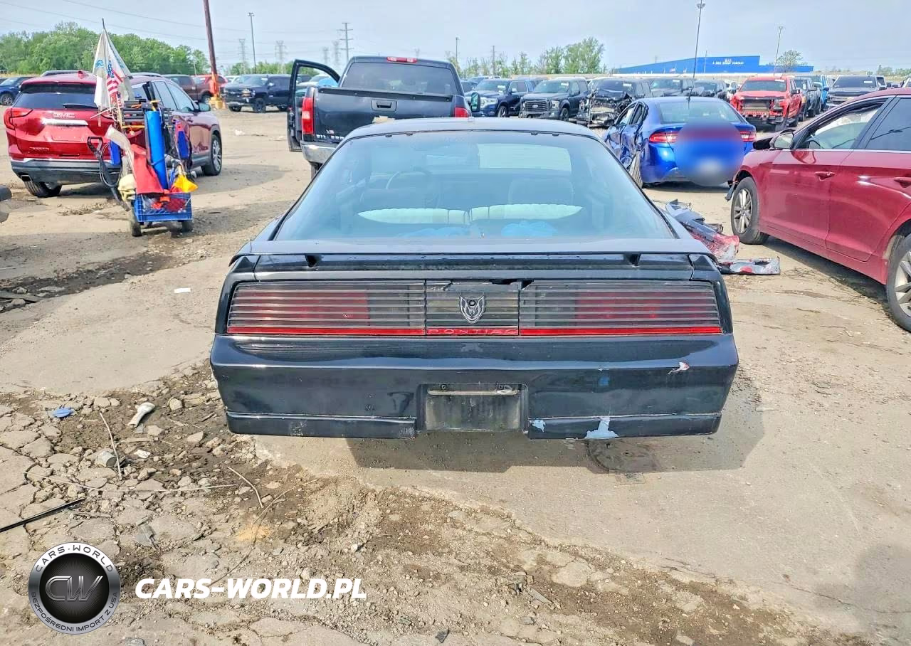 1984 Pontiac Firebird VIN:1G2AW87G2EL231142 - 6
