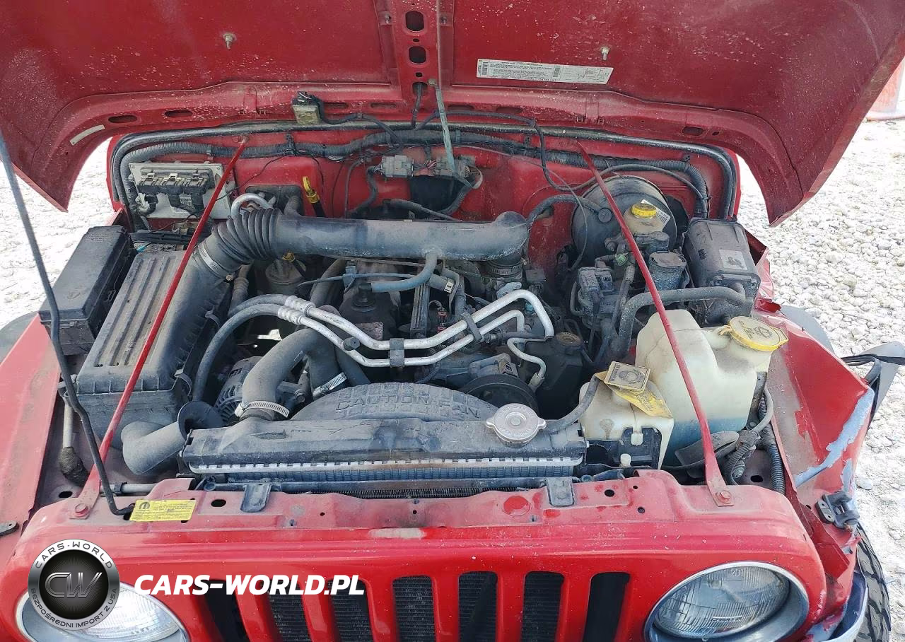 2002 Jeep Wrangler VIN:1J4FA49SX2P770343 - 11