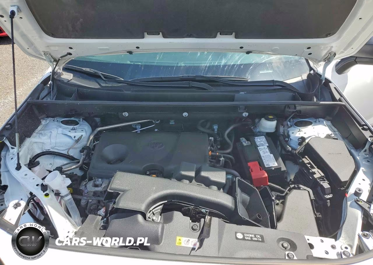 2023 Toyota Rav4 Le VIN:2T3H1RFV2PC225146 - 12