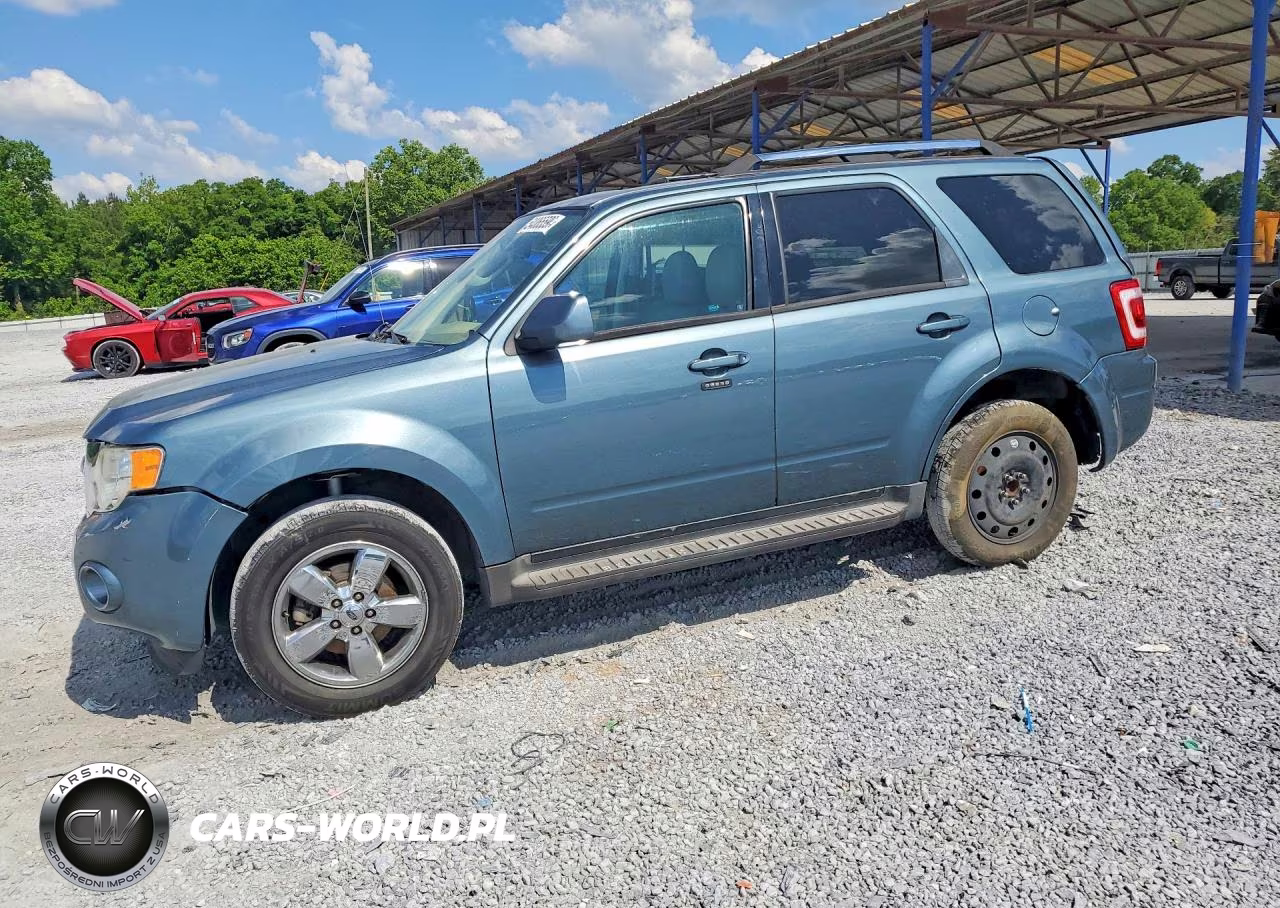 2010 Ford Escape Limited