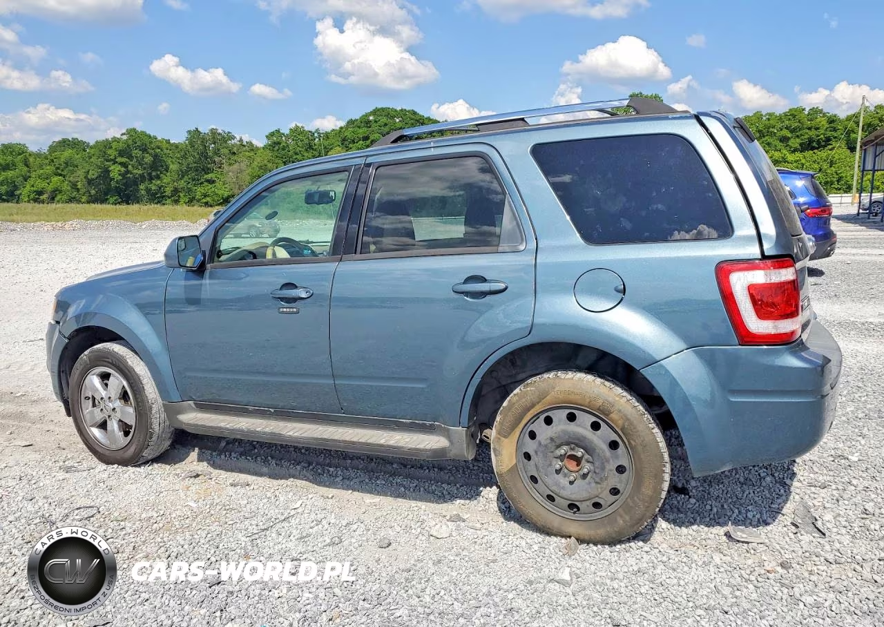 2010 Ford Escape Limited VIN:1FMCU0E70AKB31891 - 2