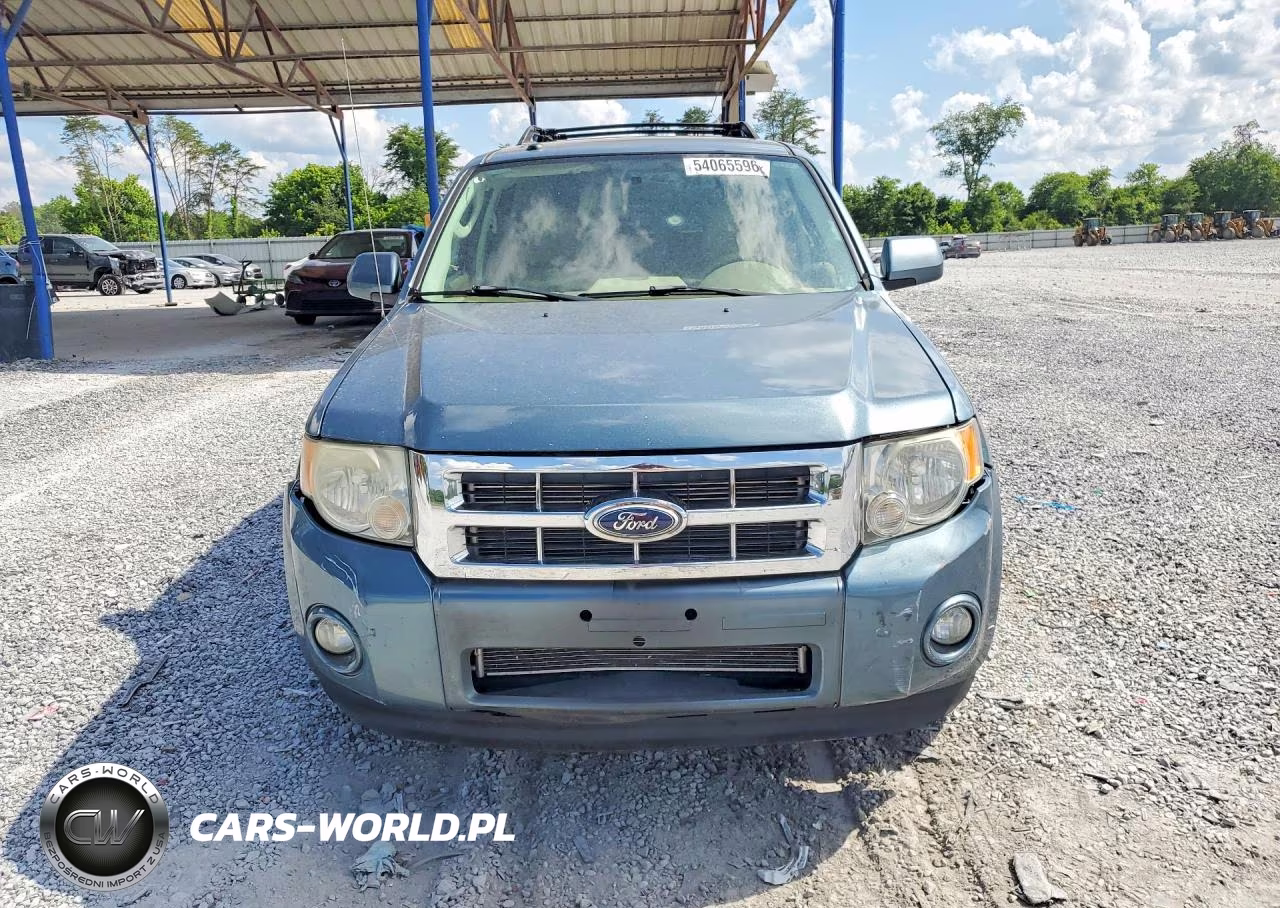 2010 Ford Escape Limited VIN:1FMCU0E70AKB31891 - 5