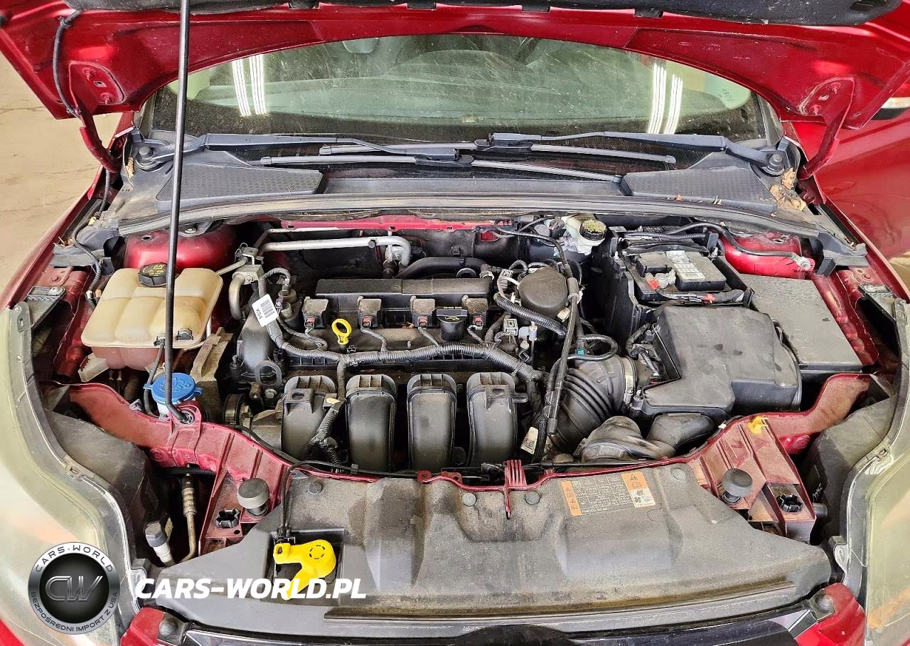 2014 Ford Focus VIN:1FADP3N29EL269408 - 11