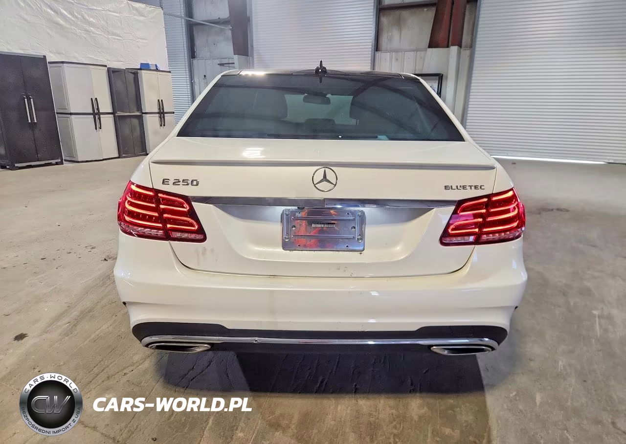2015 Mercedes-Benz E 250 Bluetec VIN:WDDHF9HB2FB143479 - 6