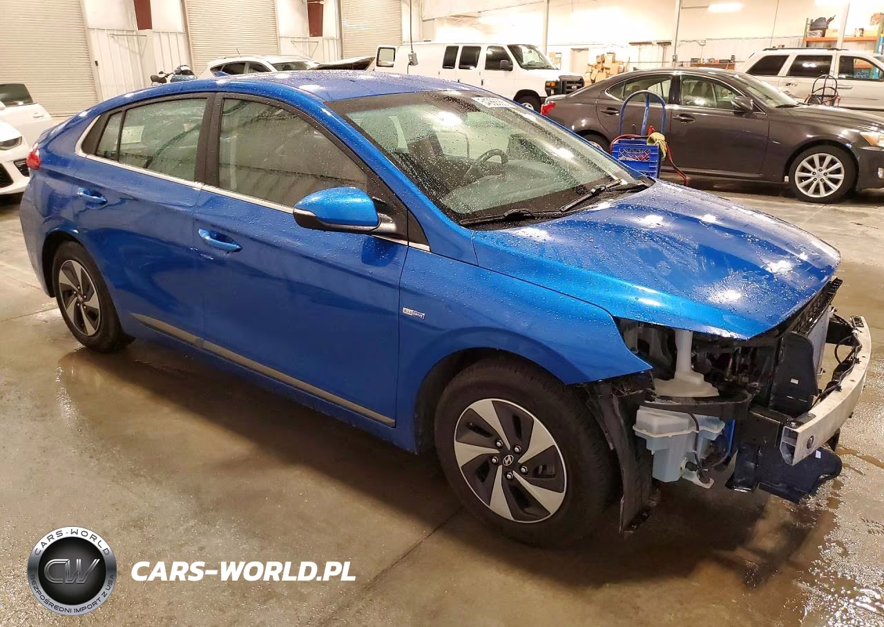 2018 Hyundai Ioniq Sel VIN:KMHC75LC6JU067820 - 4