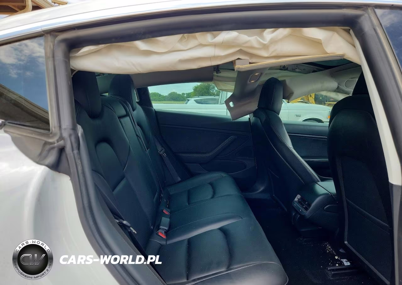 2020 Tesla Model 3 VIN:5YJ3E1EB2LF665339 - 10