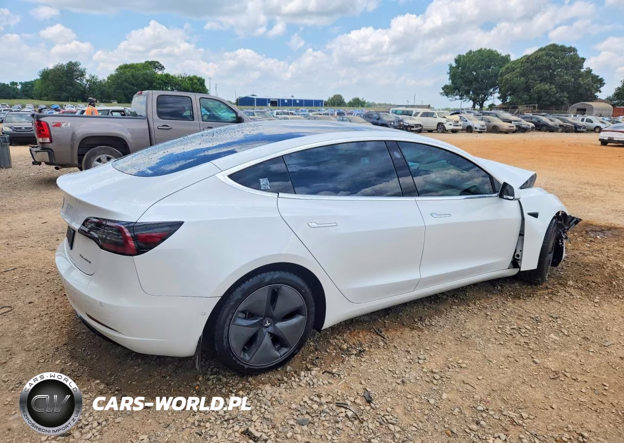 2020 Tesla Model 3 VIN:5YJ3E1EB2LF665339 - 3