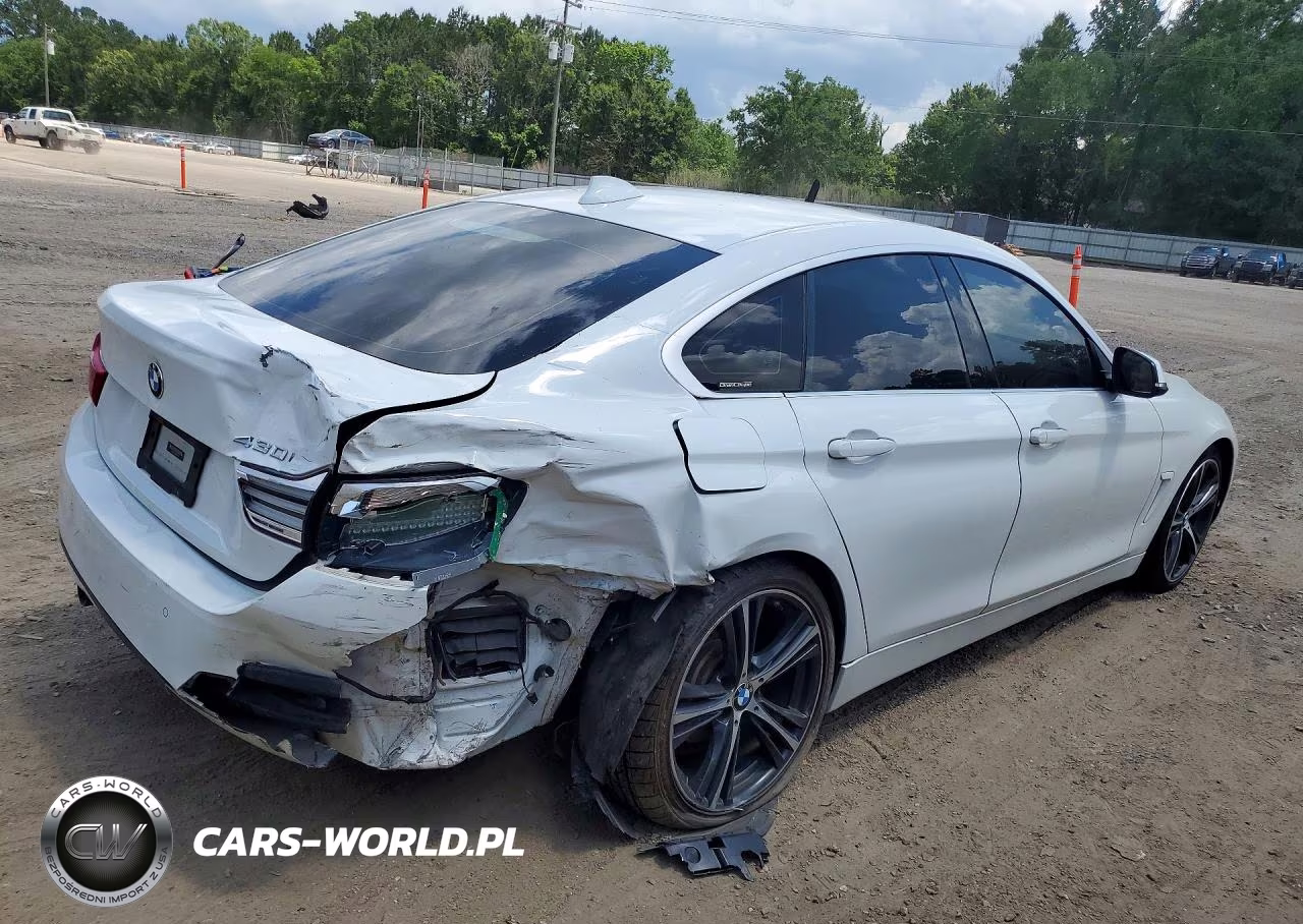 2019 BMW 430I Gran Coupe VIN:WBA4J1C55KBM18070 - 3