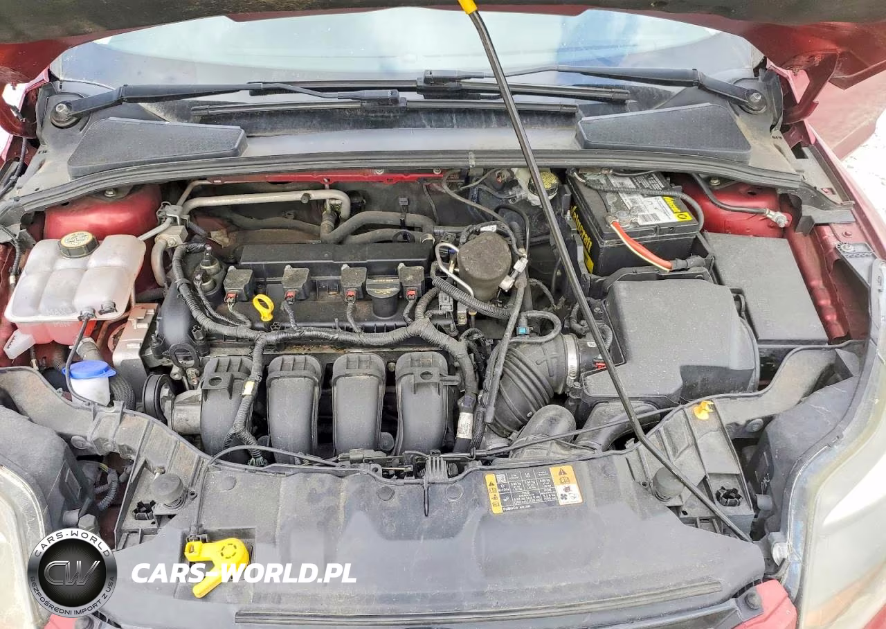 2014 Ford Focus Se VIN:1FADP3F2XEL348777 - 11