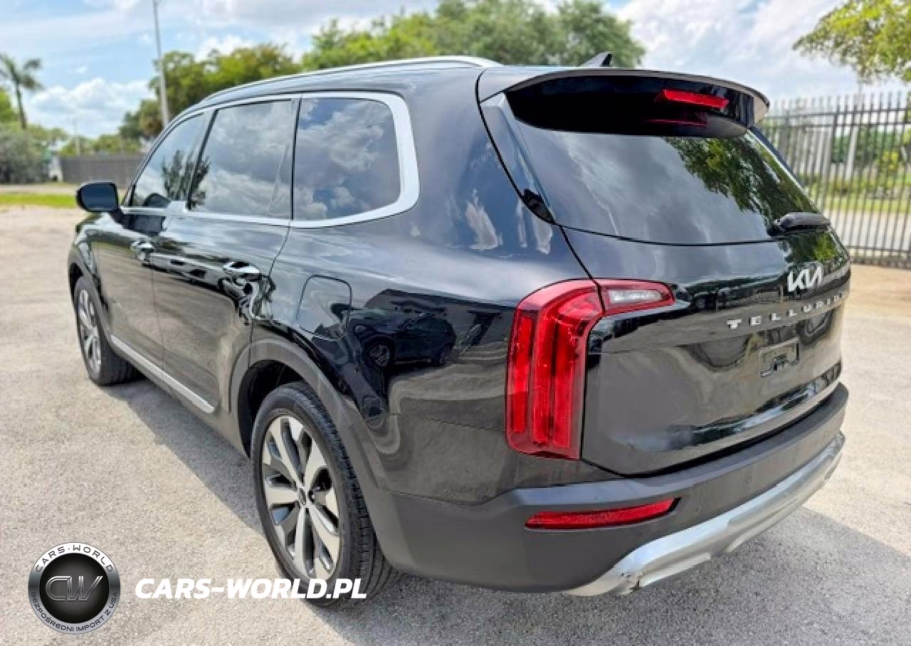 2022 Kia Telluride S VIN:5XYP64HC4NG204790 - 2