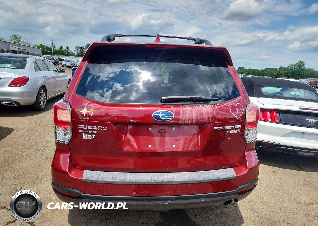 2017 Subaru Forester 2.5I Touring VIN:JF2SJAWC9HH810965 - 6