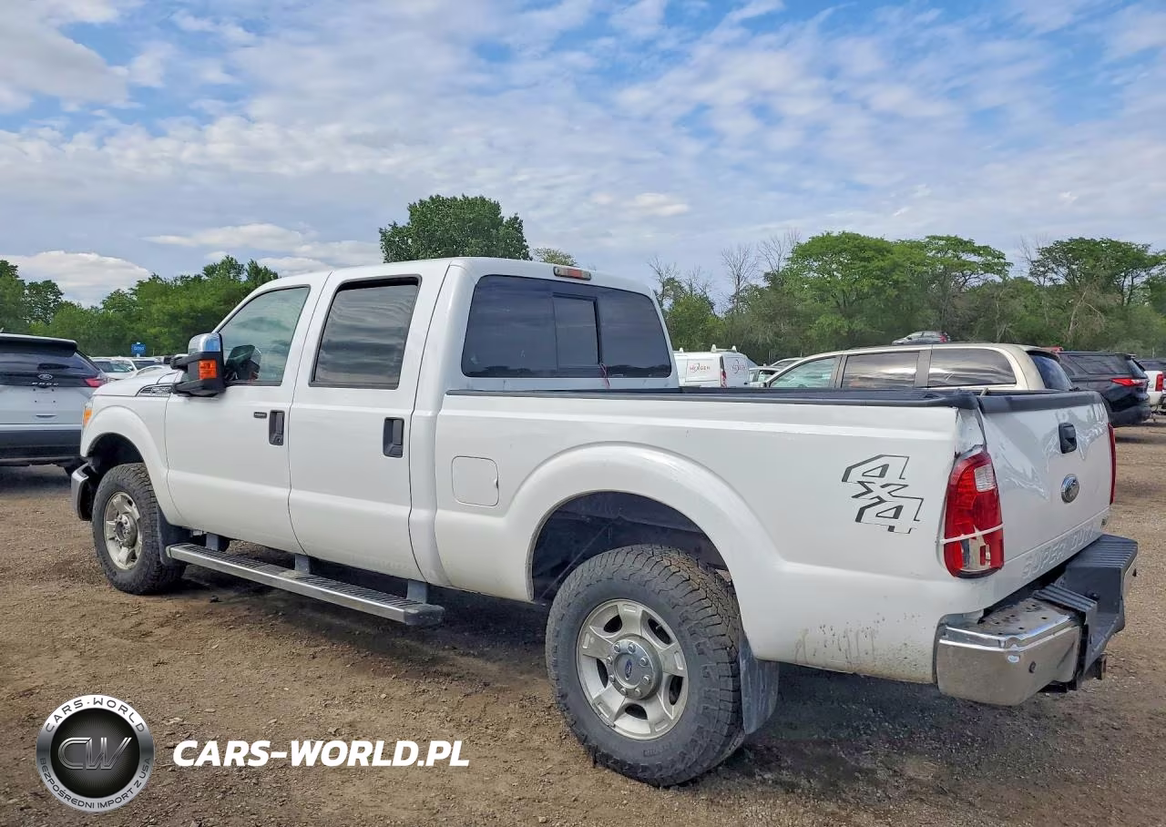 2011 Ford F250 Super Duty VIN:1FT7W2B6XBEB39231 - 2