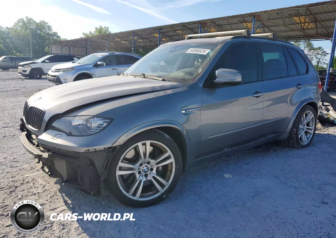 2010 BMW X5 M