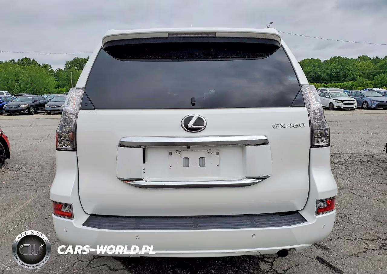 2020 Lexus Gx 460 Premium VIN:JTJAM7BX2L5253384 - 6