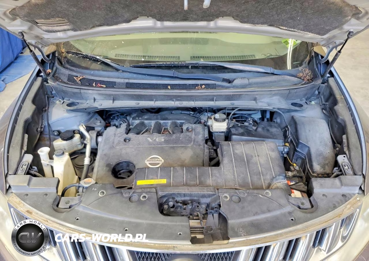 2010 Nissan Murano S VIN:JN8AZ1MW9AW122700 - 12
